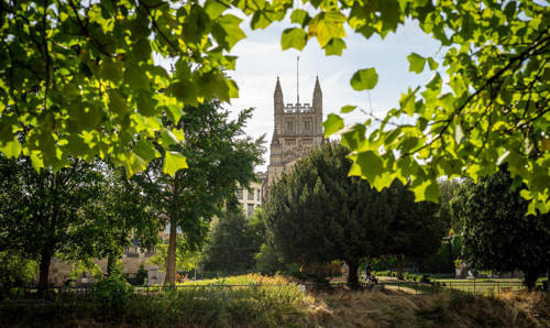 Bath Abbey seen through trees