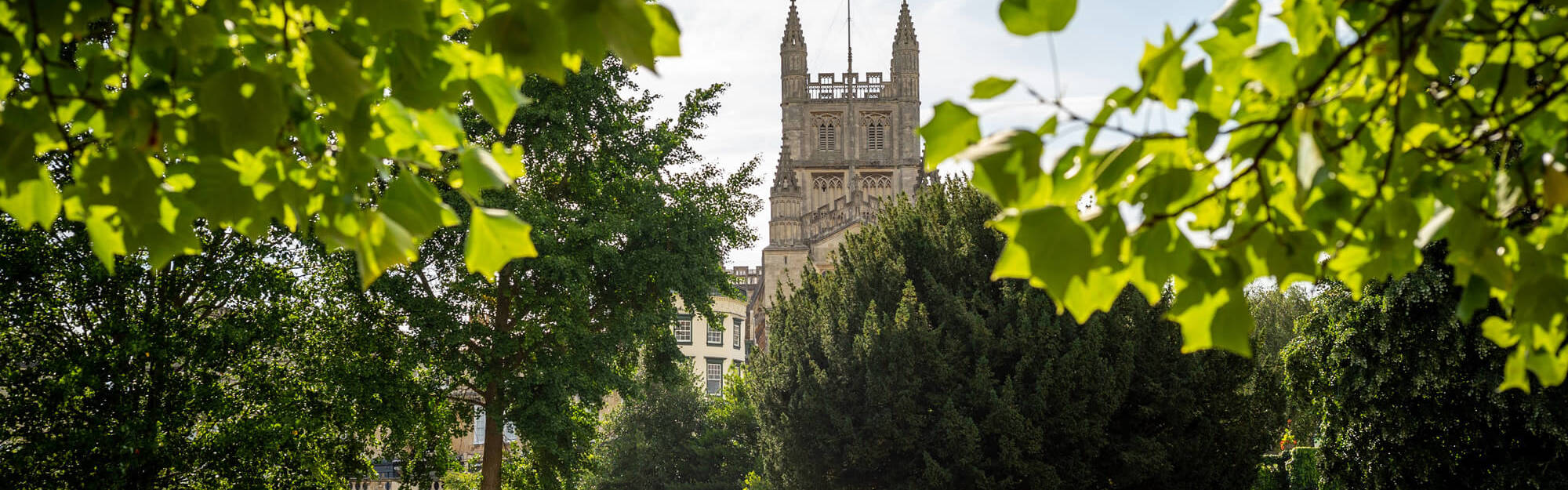 Bath Abbey seen through trees